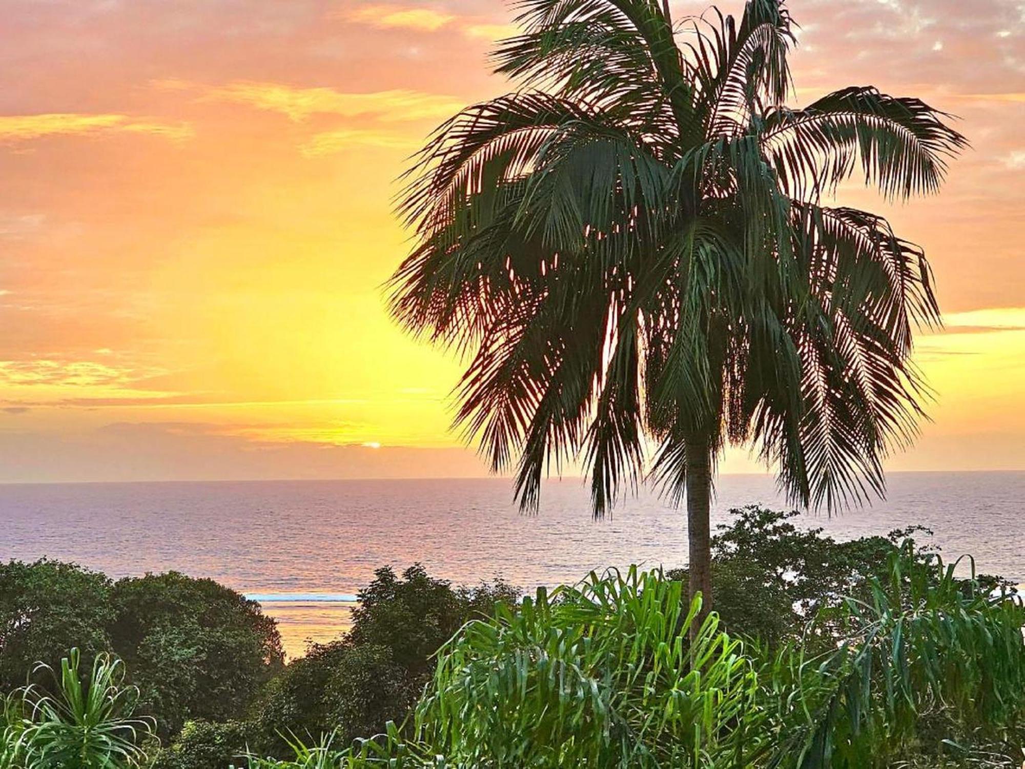 Au Lever Du Soleil Guest House Sea View Au Cap Exterior photo